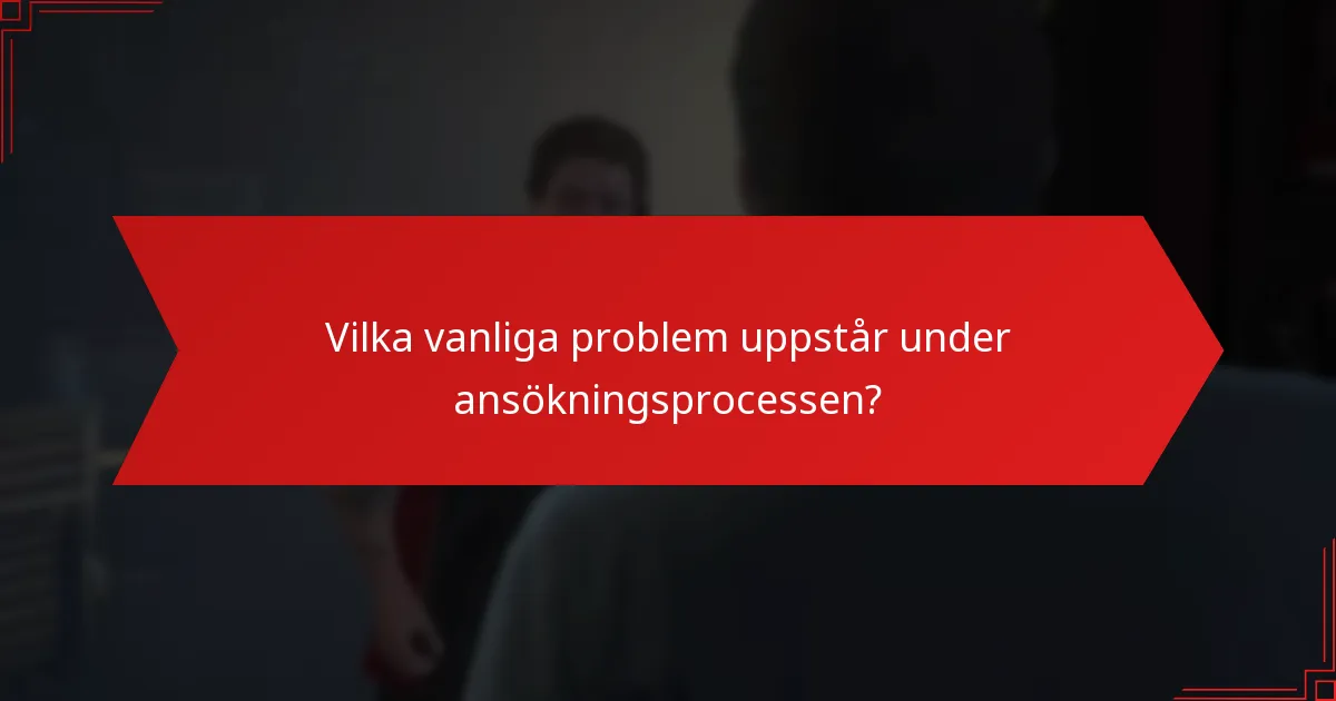 Vilka vanliga problem uppstår under ansökningsprocessen?